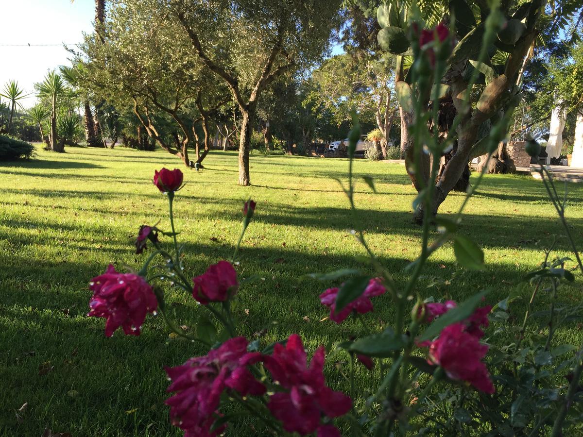 Dimora Del Duca, Masseria B&B Di Charme Monteroni di Lecce Eksteriør bilde